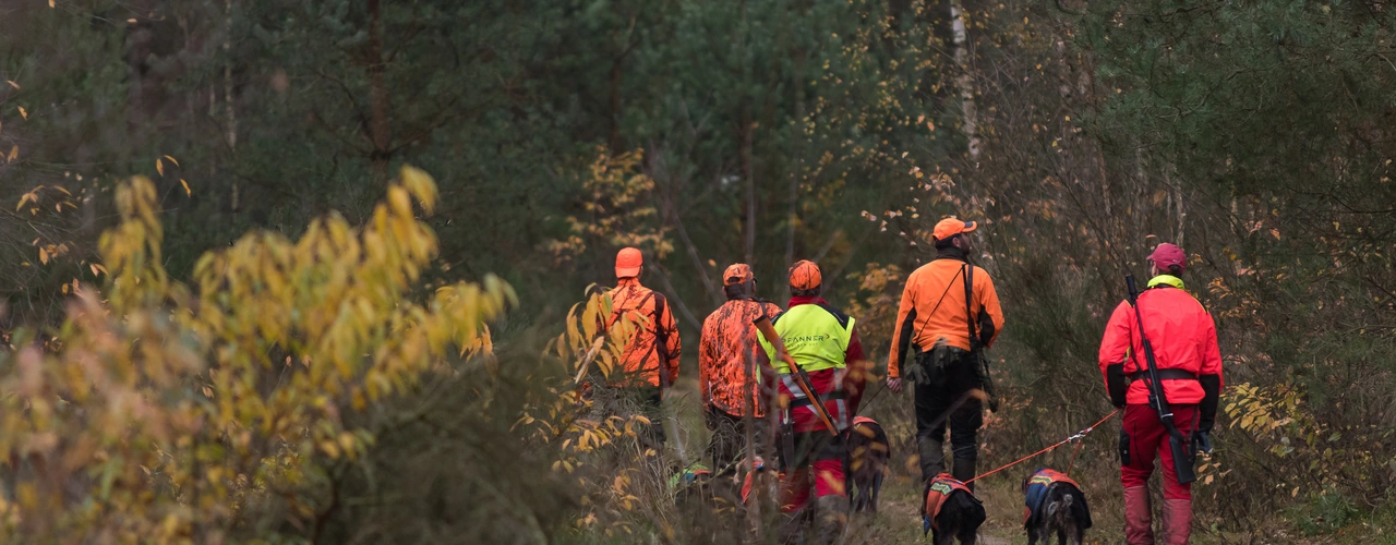 Gruppe in Warnkleidung geht mit angeleinten Hunden einen Waldweg entlang