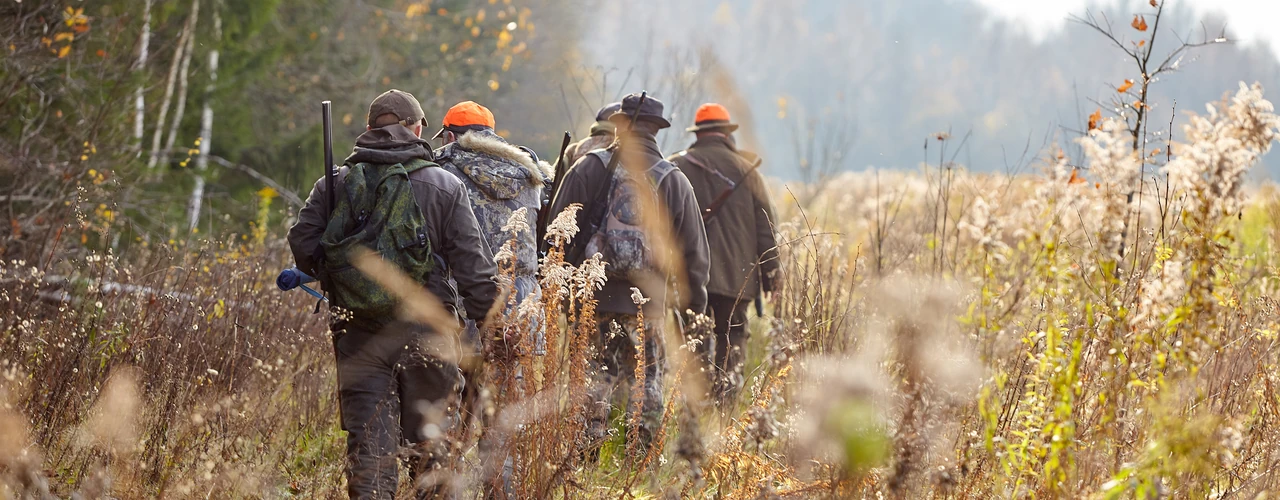 Jagdgesellschaft geht in Signalkleidung durch hohes Gras am Waldrand