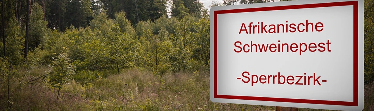 Warnschild am Waldrand mit der Aufschrift „Afrikanische Schweinepest – Sperrbezirk“