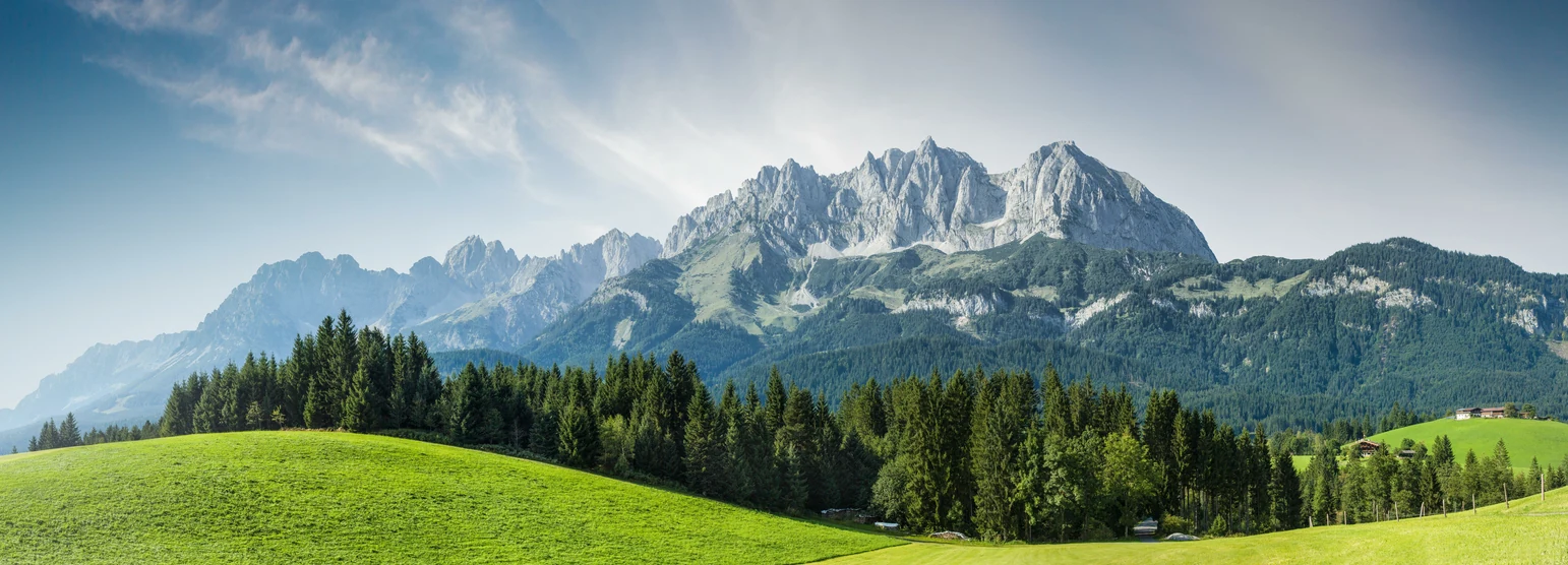 Alpengipfel über bewaldeten Hängen, davor eine weite grüne Bergwiese