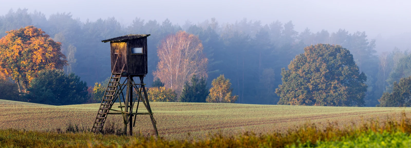 Hochsitz am Feldrand im Herbstnebel