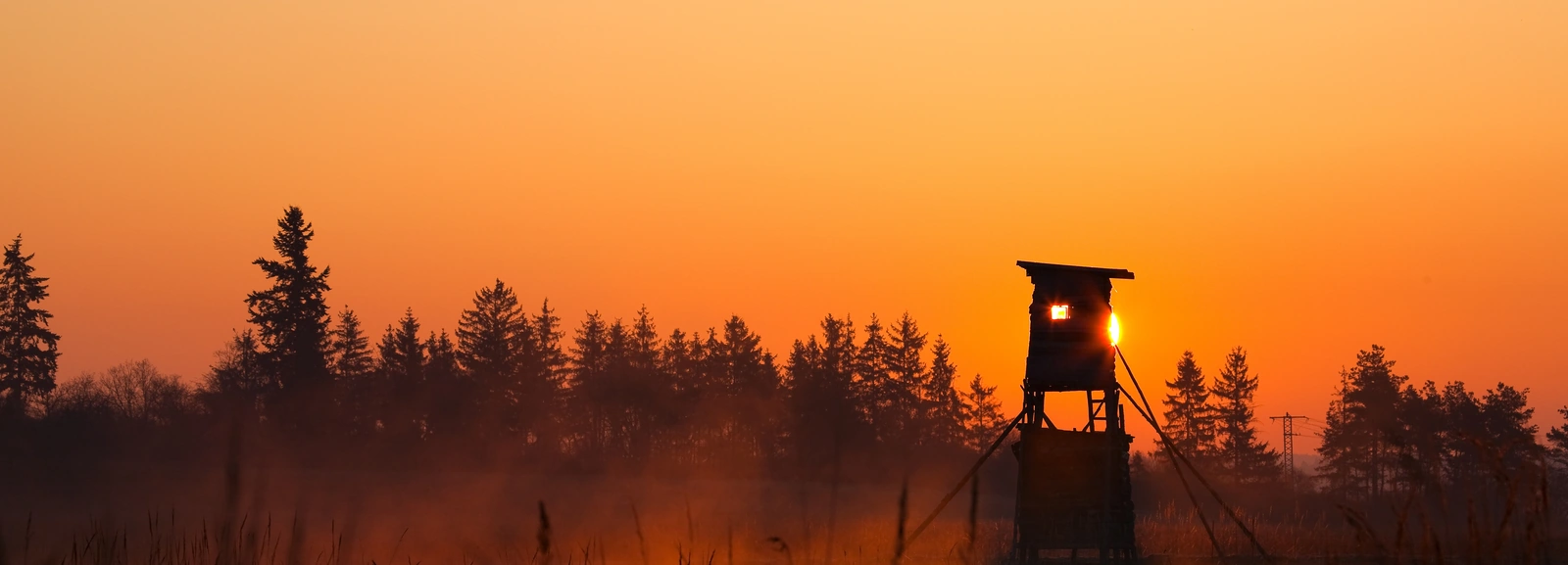 Hochsitz vor einem Waldrand im Abendrot