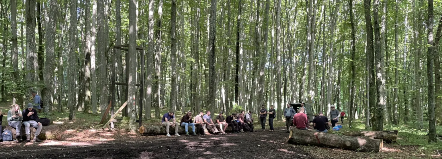 Kursgruppe sitzt auf Baumstämmen in einem lichten Buchenwald, links steht das Gerüst einer Kanzel