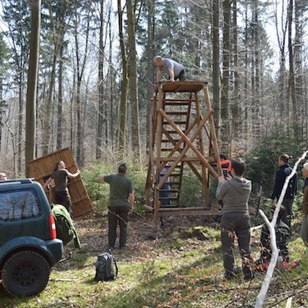 Bau eines Hochsitzes während der praktischen Ausbildung