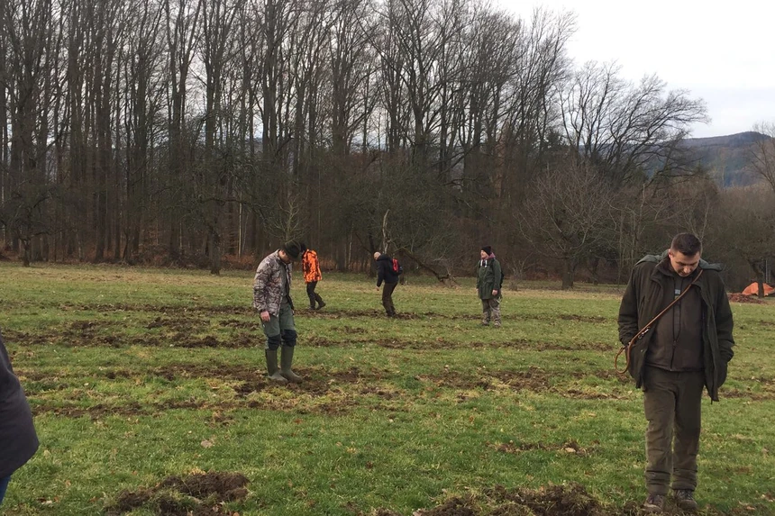 Kursgruppe steht verteilt auf einem abgeernteten Feld vor dem Waldrand