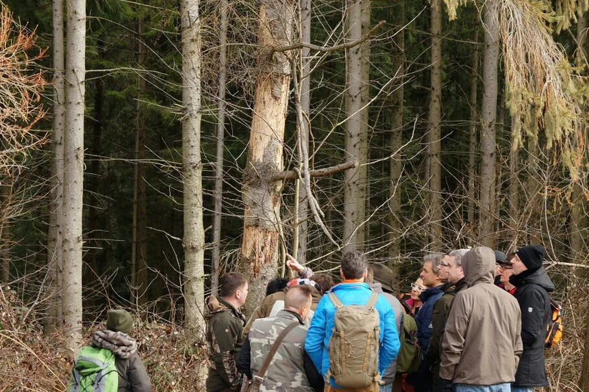 Kursgruppe steht in einem Fichtenbestand und hört dem Ausbilder zu