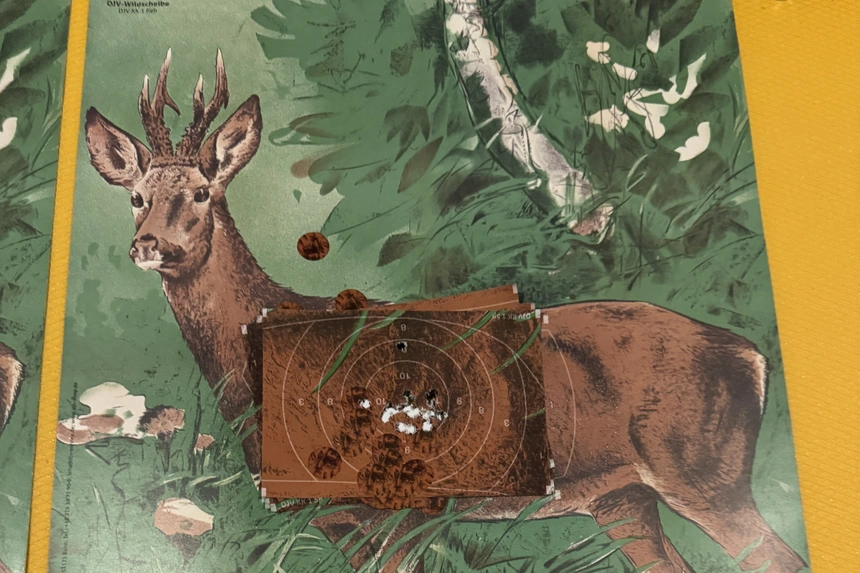 Wildscheibe mit einem Rehbock, darauf ein aufgehefteter Spiegel mit einer engen Gruppe von Einschüssen