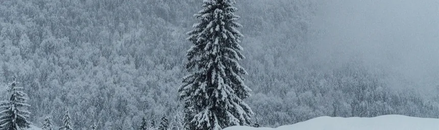 Verschneiter Wald mit einzelner Fichte unter grauem Himmel