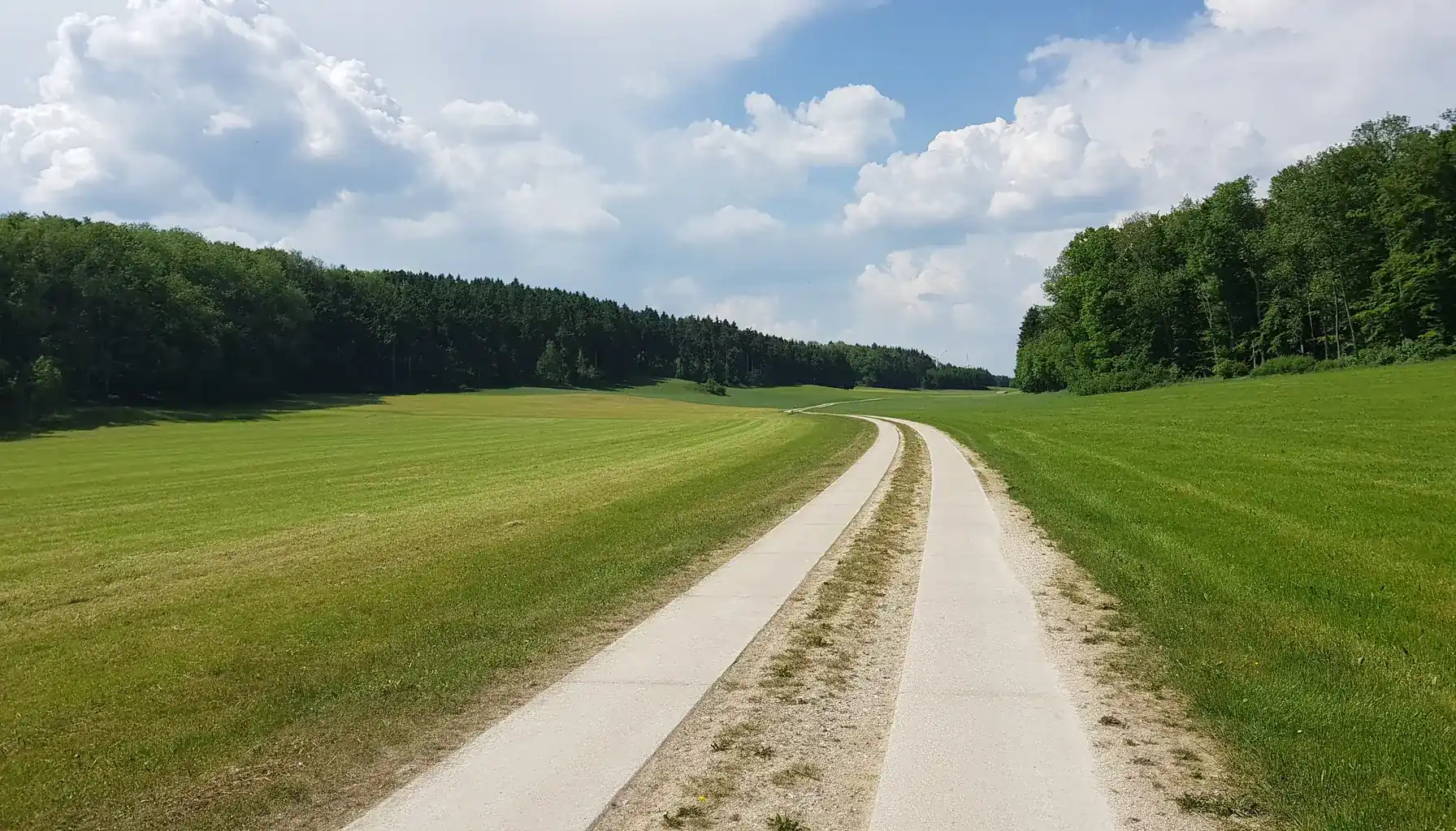 Feldweg durch das Lehrrevier der Jagdschule Abt