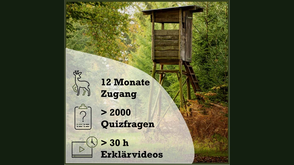 Hinweisbild der Jägerschmiede-Lernplattform mit Hochsitz im Wald