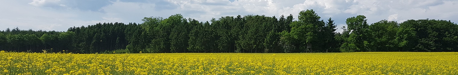 Jagdschein Ferienkurs