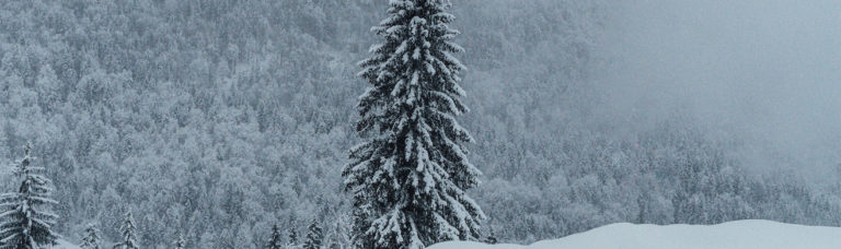 winter-jagd-waffe-pflege