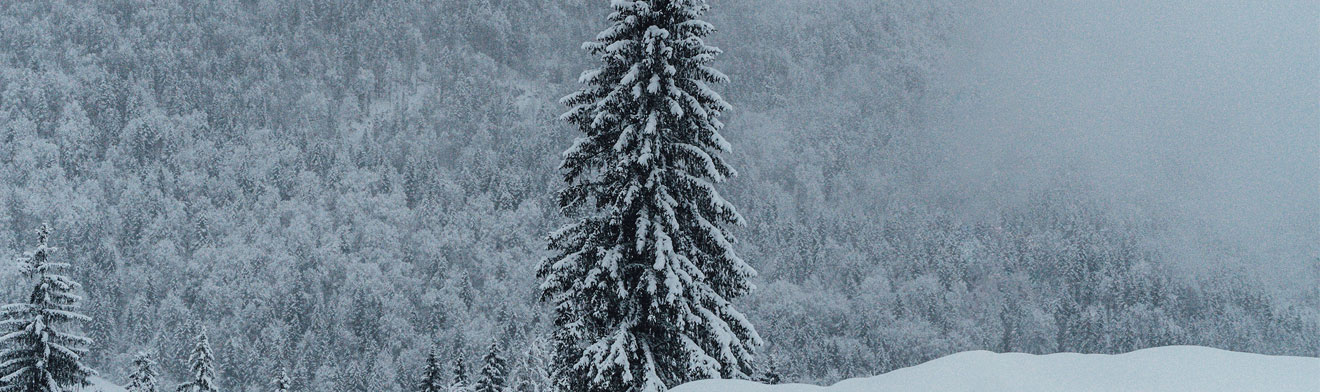 winter-jagd-waffe-pflege