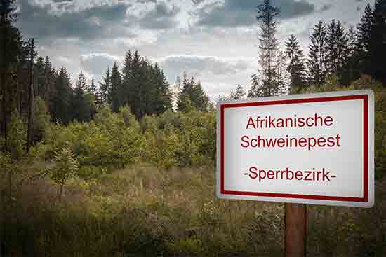 Wildbrethygiene