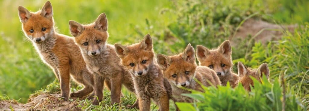 Frauen-Jagdscheinkurs