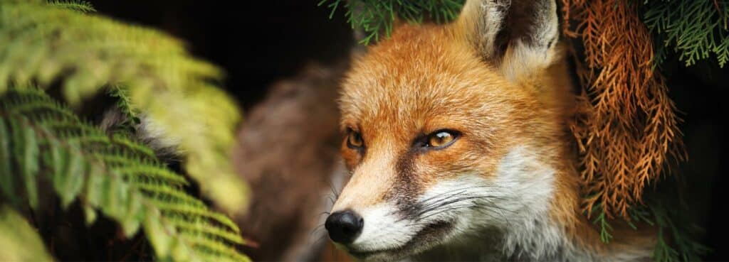 Jagdschein-Manager-Kurs