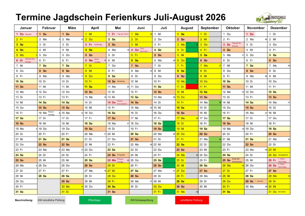 Ferienkurs August Online 2026