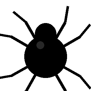 Spinne